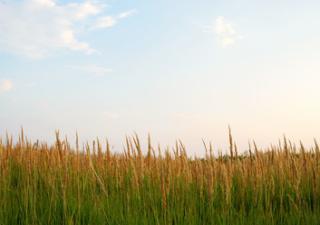 Similar image 1122478