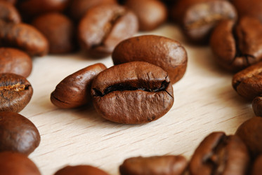 Similar image 1122485