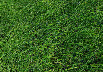 Similar image 1122493