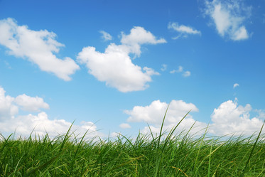 Similar image 1122521