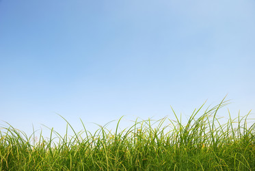 Similar image 1122522