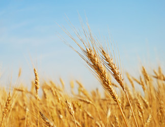 Similar image 1122551