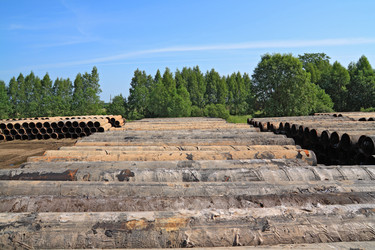 Similar image 1122570