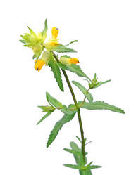 Similar image 1122575