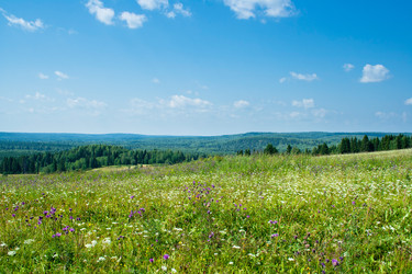 Similar image 1122582