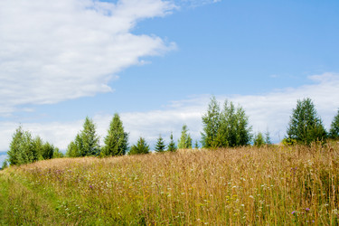 Similar image 1122583