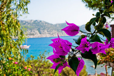 Similar image 1122595