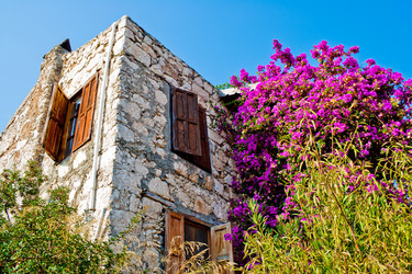 Similar image 1122597