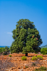 Similar image 1122598