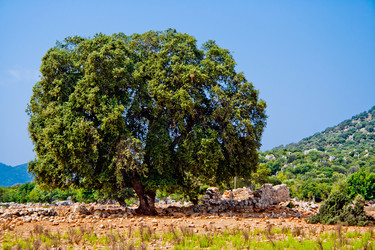 Similar image 1122599