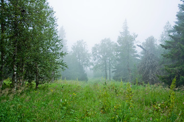 Similar image 1122603