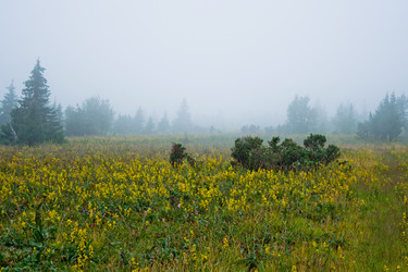 Similar image 1122604