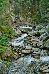 Similar image 1122606