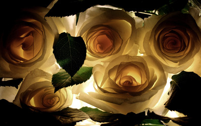 Similar image 1122628