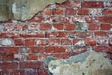 Similar image 1122630