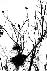 Similar image 1122643