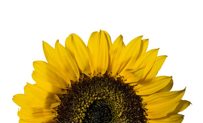 Similar image 1122695