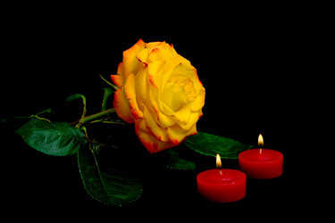 Similar image 1122702