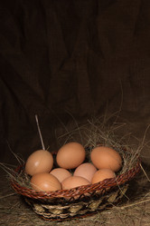 Similar image 1122712