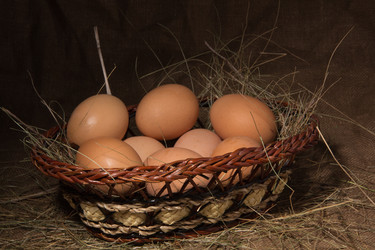 Similar image 1122713