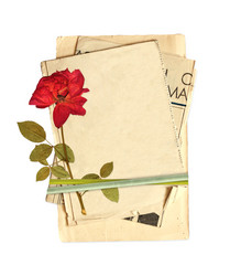 Similar image 1122724