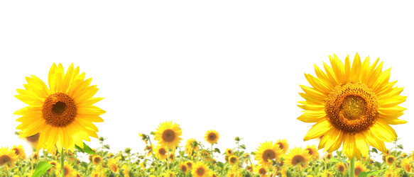 Similar image 1122726