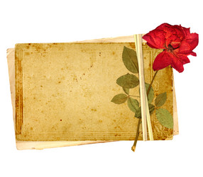 Similar image 1122733