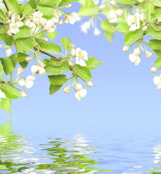 Similar image 1122738