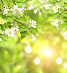 Similar image 1122739