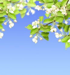 Similar image 1122740