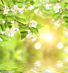 Similar image 1122741