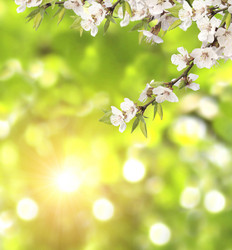 Similar image 1122743