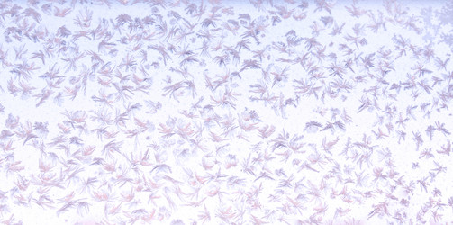 Similar image 1122745