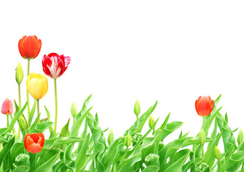 Similar image 1122747