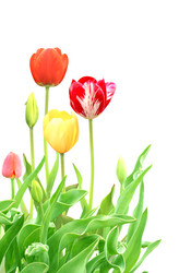 Similar image 1122748