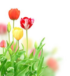 Similar image 1122751