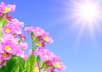 Similar image 1122754