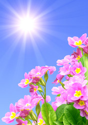 Similar image 1122755