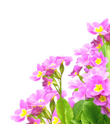 Similar image 1122756