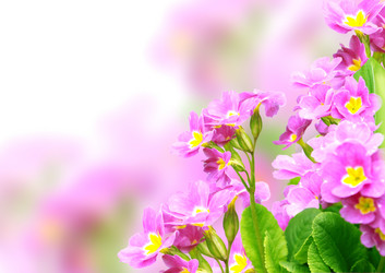 Similar image 1122759