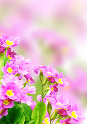 Similar image 1122760