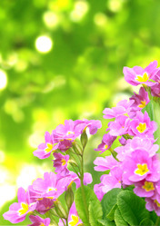 Similar image 1122762