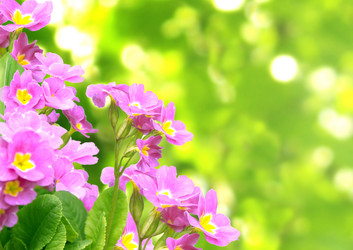 Similar image 1122763