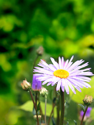 Similar image 1122764