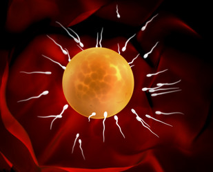 Similar image 1122765