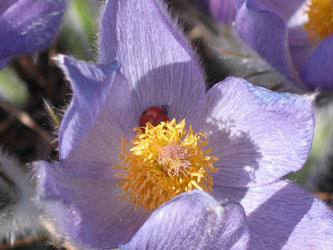 Similar image 1122781