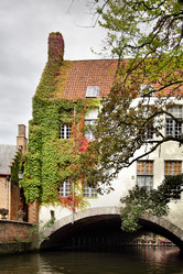 Similar image 1122795