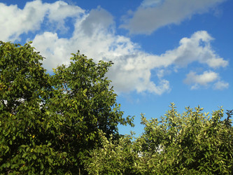 Similar image 1122805