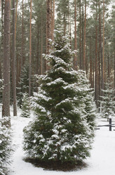 Similar image 1122853