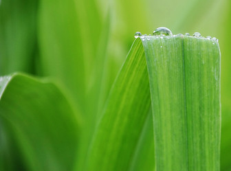 Similar image 1122856